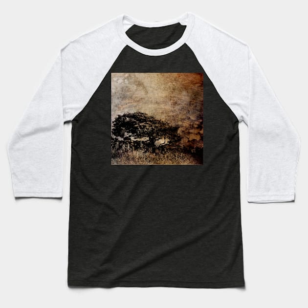 Resilience Baseball T-Shirt by WesternExposure